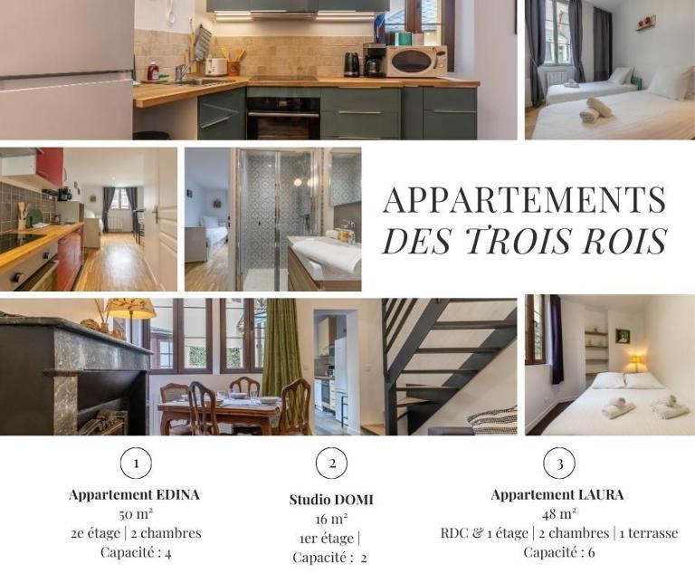 Les Apparts des 3 rois - Bed and Breakfast Romorantin-Lanthenay