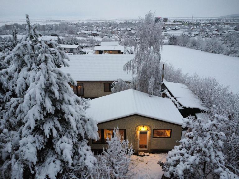 Forest Hide Tiny House - B&B Covasna