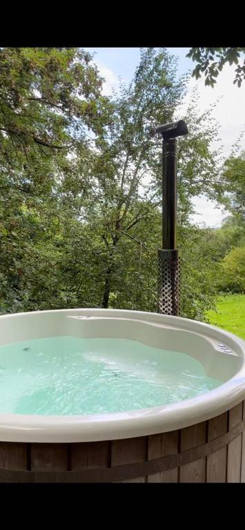 La Canopée des Arbres, Juliette - B&B Ellezelles