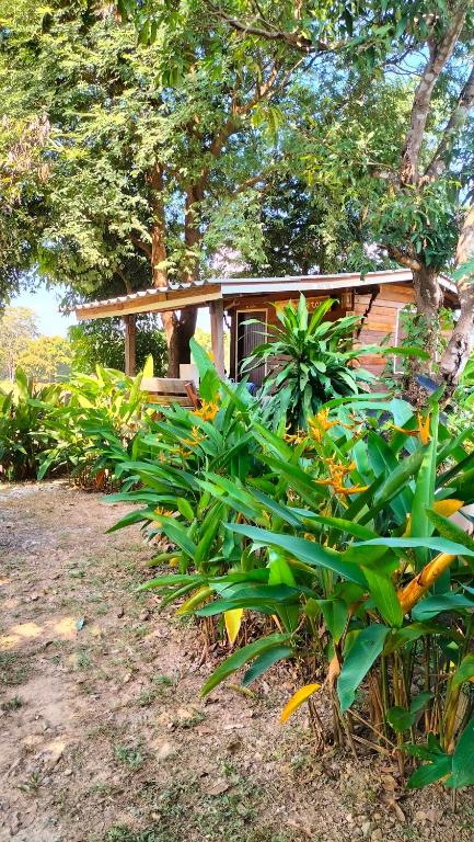 Bunnum Homestay - B&B Ban Mae Tap