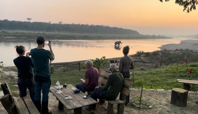 Bamby Chilling House - Feel The Nature - Sauraha , Chitwan - B&B Sauraha