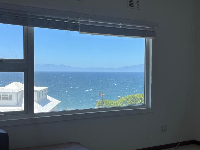 Simons Town penquins - B&B Cape Town