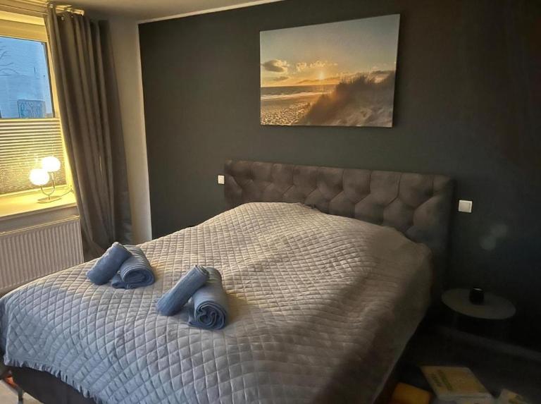 Ferienwohnung Schleswig Friedrichsberg Nähe von Schlei - Ferienwohnung Schleswig