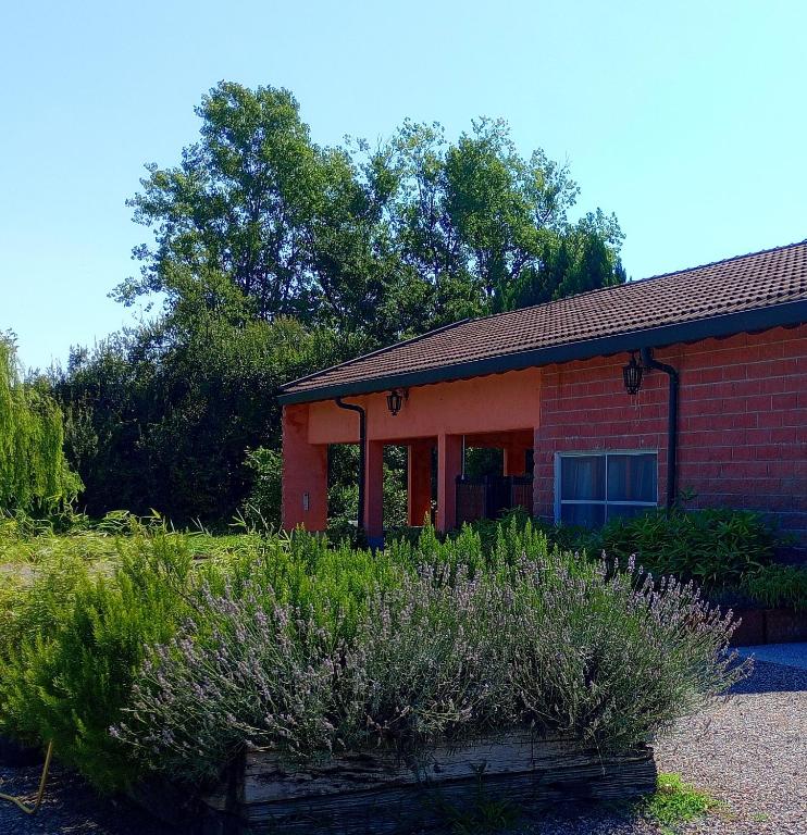 Vivai Natura Country Loft - Bed and Breakfast Basiglio