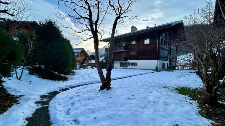 Gstaad Luxurious flat with terrace stunning views - B&B Gstaad