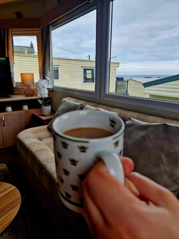 Gorgeous Sea Viev 3 Bedroom Delta Bromley Deluxe - B&B Aberystwyth