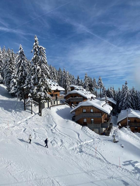 Alpine Escape Golte Apartment - B&B Mozirje