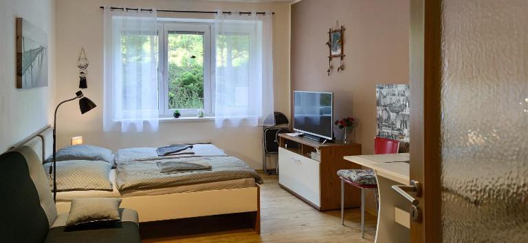 Apartmán Nela - Chambres d'hôtes Lipno nad Vltavou