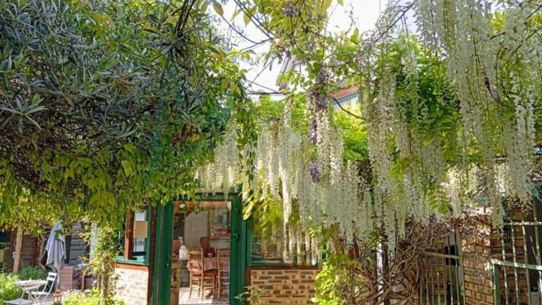 Peaceful Escale Chez l'Habitant A Few Stations from Paris Heart - B&B Vitry-sur-Seine