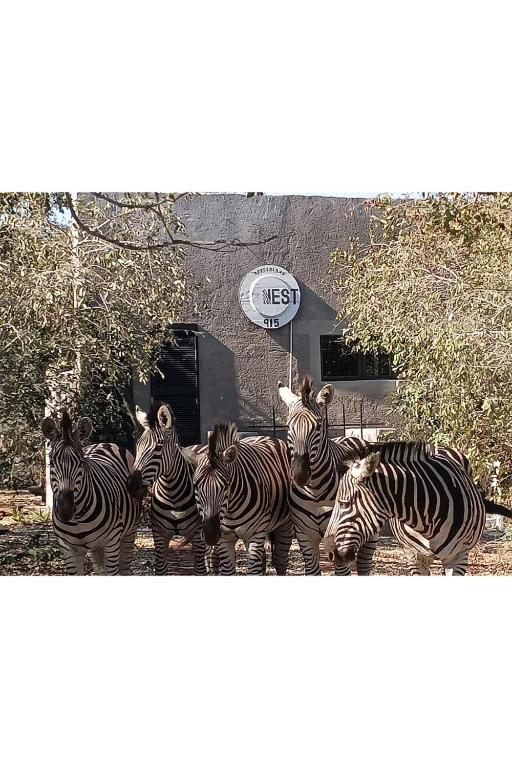 The Nest - Marloth Park - B&B Marloth Park