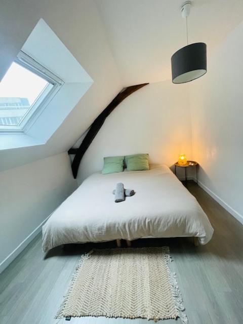 Le Duplex - Hyper Centre-Ville - 6 voyageurs - B&B Le Mans