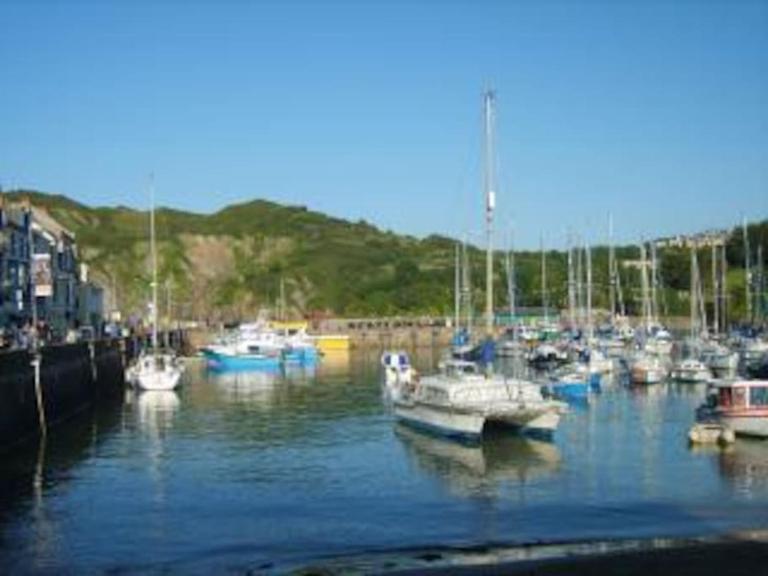 Primrose House - Large Victorian Townhouse - B&B Ilfracombe