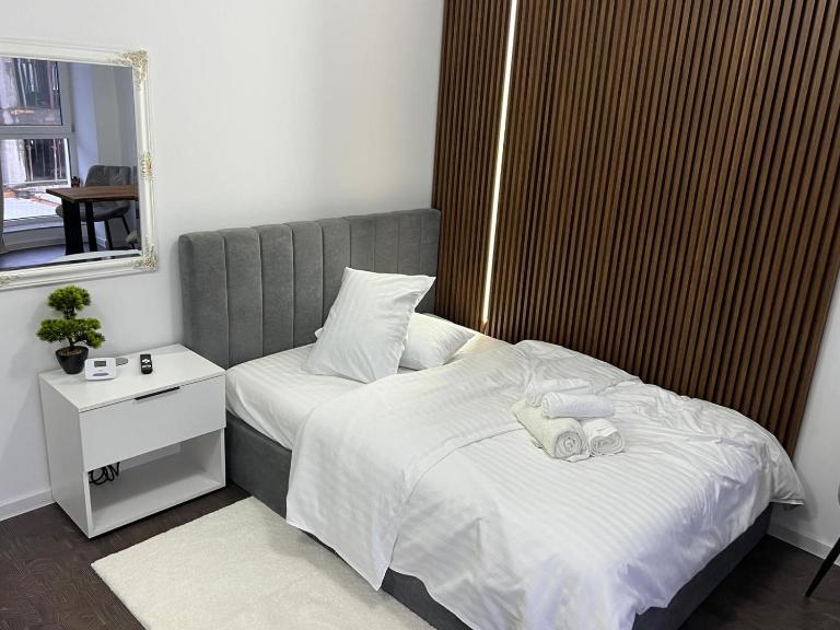Shopping Park Studio Nr 16 - Chambres d'hôtes Baia Mare