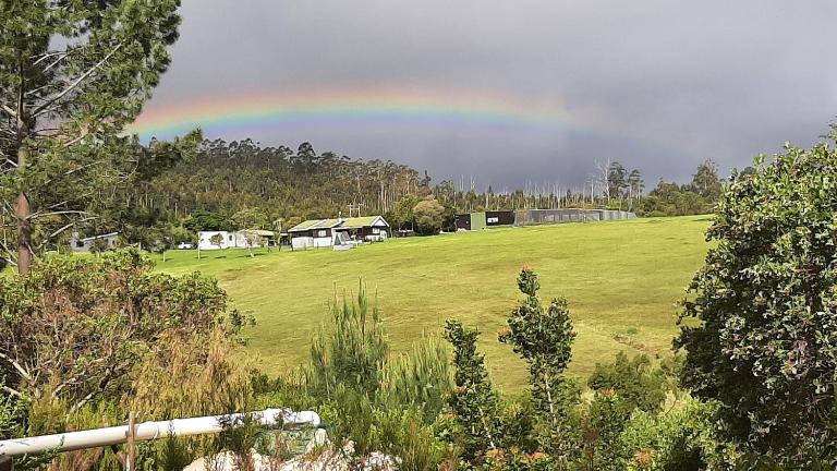 Green room - Bed and Breakfast Knysna