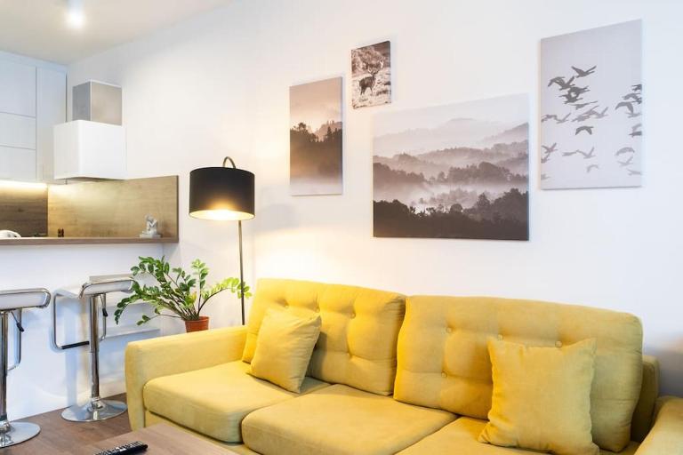 Elegant Studio in the Heart of Brno - Bed and Breakfast Brno
