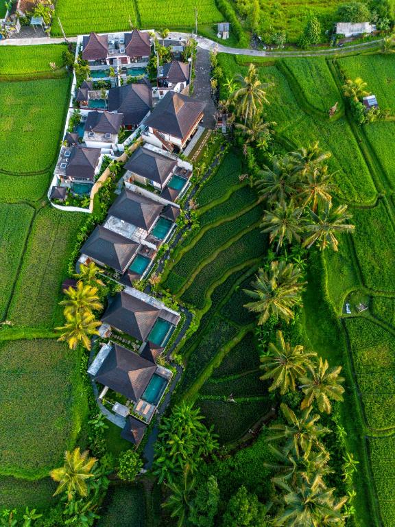 Dewi Kunti Villa - B&B Tegalalang