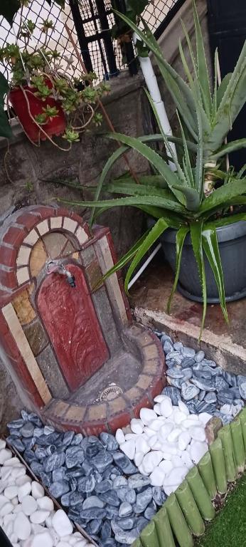 "aloe garden" - Ferienwohnung Kavala