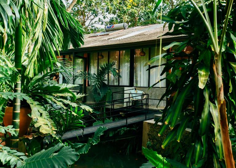 Boho Jungle Studios - B&B Horagoda