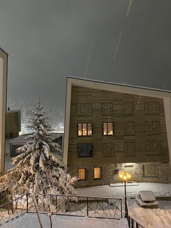 ApartMaN 11,free garage,ski to door - Ferienwohnung Bjelašnica