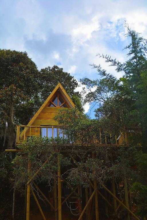 Cabaña Madre Selva - B&B San Vicente