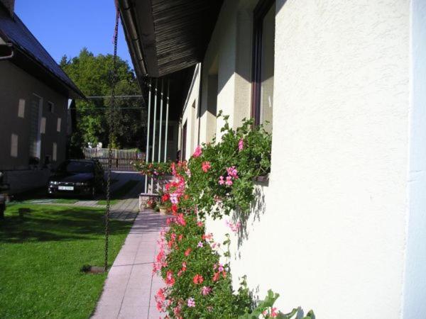 Homestay Gustav Halas - Chambres d'hôtes Terchová