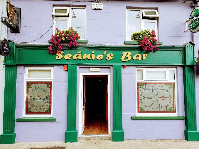 Seanie's guest house - B&B Tullaroan