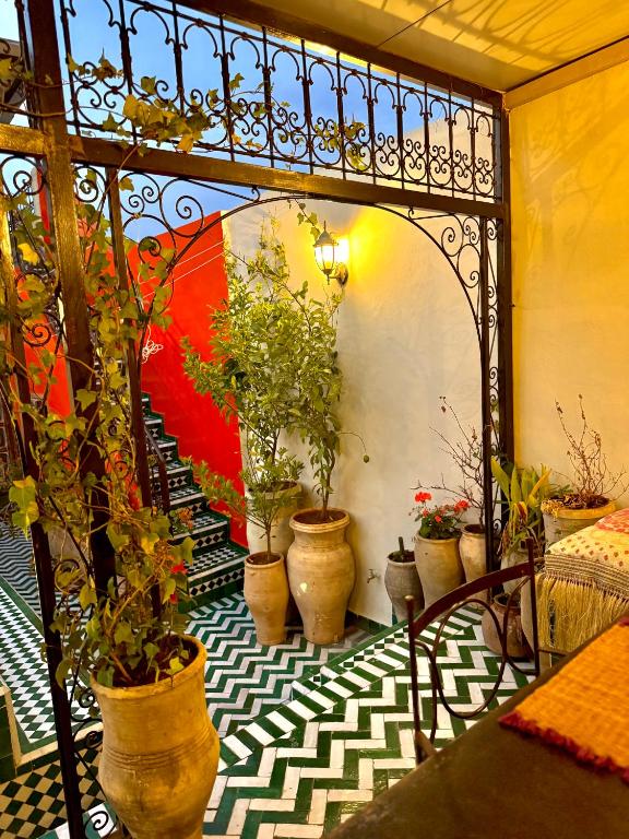 Riad Phœnix - B&B Douar Fes El Bali