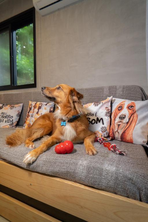 Bom pra Cachorro - B&B Morro de São Paulo