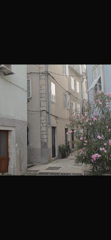 Apartment Nona - B&B Cres (ciudad)