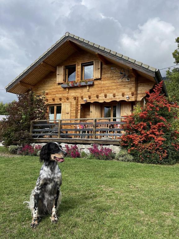 La Marmotte - B&B Chorges