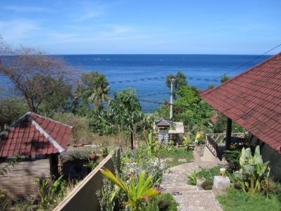 Warung Ary & Home Stay - B&B Amed