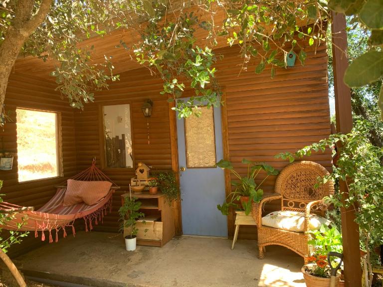 Cabaña entre parras - B&B Curacaví