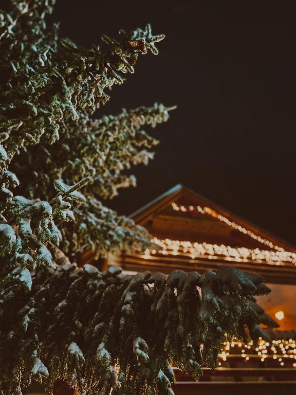 Villa "Pahulja" - Vlašić - B&B Vilišća