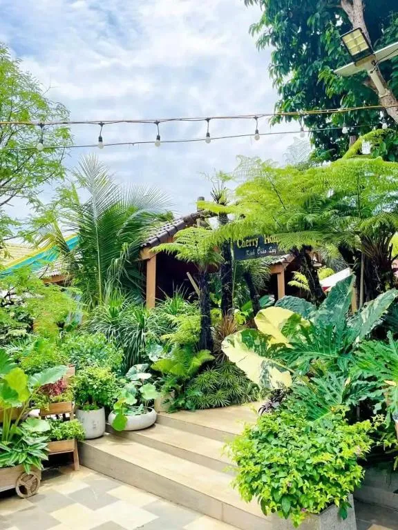 Cherry homestay bmt - B&B Buôn Đũng