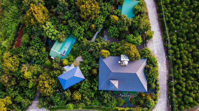 Homestay Vườn Trái Cây Nhiệt Đới VÔ ƯU GARDEN - B&B Bảo Lộc
