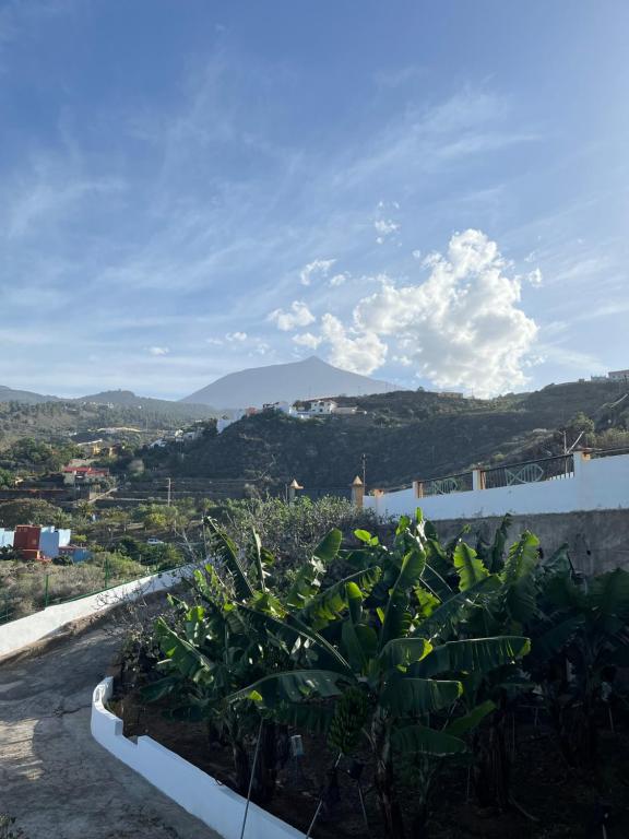 Chicho's Home - Bed and Breakfast La Guancha
