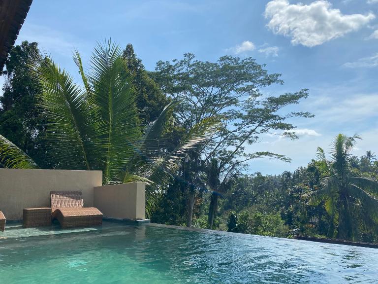 Widi's House with Ubud Jungle Lush View - Chambres d'hôtes Ubud