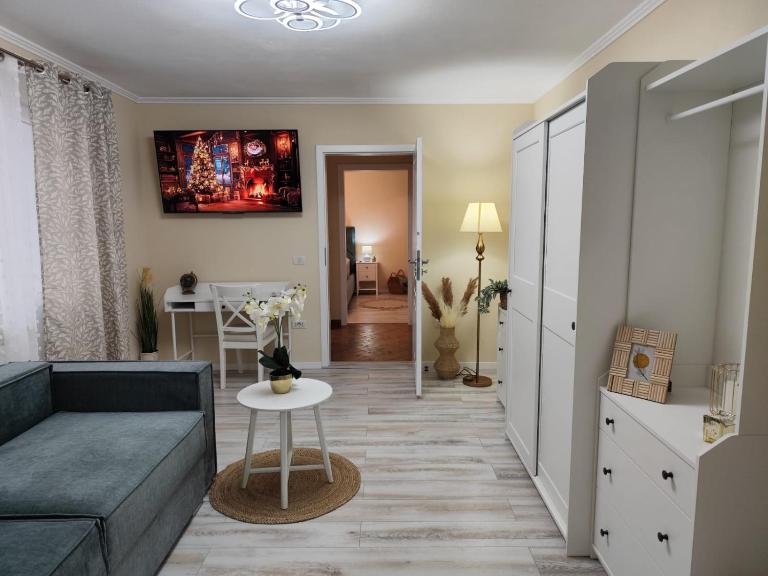 L&R Favorit Apartment - Ferienwohnung Oţelu Roşu