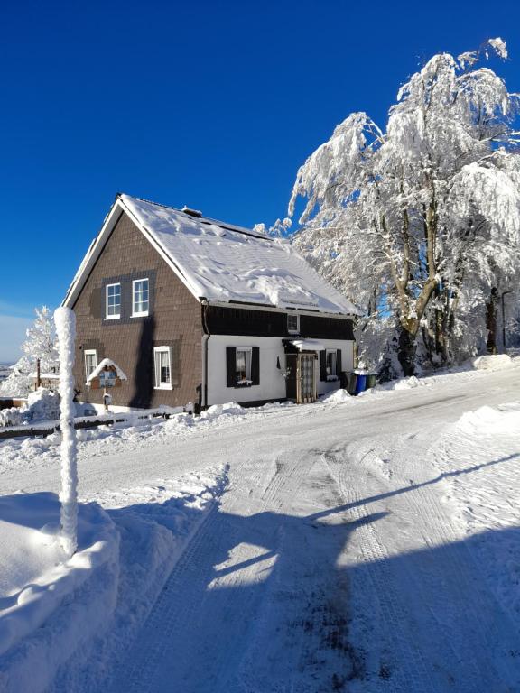 Tante Hanna - Ferienwohnung Winterberg