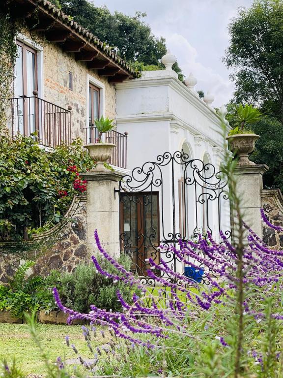 Finca San Mateo - Private Luxury Coffee Estate in Antigua Guatemala - Bed and Breakfast Antigua
