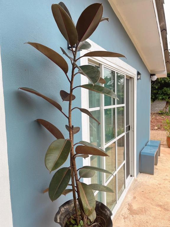 บ้านพอดีโฮมสเตย์ทองผาภูมิ -กาญจนบุรี - B&B Ban Din So