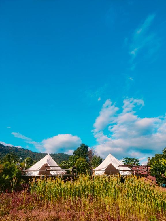 Baansuanlungpao - Ferienwohnung Ban Phu Langka