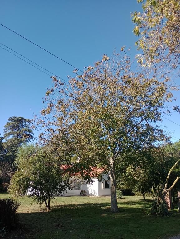 Casa de campo Dimedonde - Ferienwohnung Mar del Plata