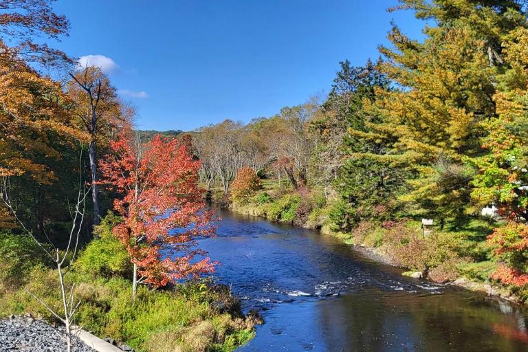 Serenity On The Lehigh River - B&B Thornhurst