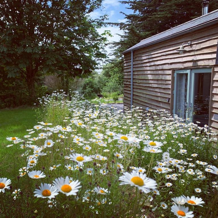 Bream Barn - sea view, woodburner, easy walk to the beach, parking, full kitchen - Ferienwohnung Falmouth