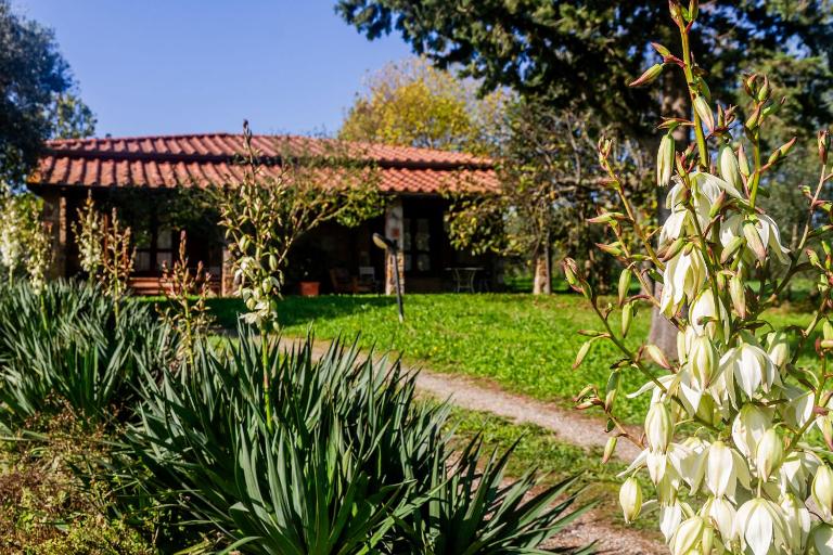 Villa Bel Giardino - Chambres d'hôtes Gavorrano