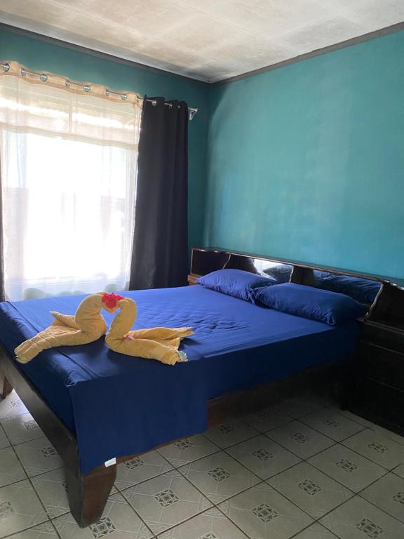 Anluka-House2 with Air conditioning - B&B San Domingo