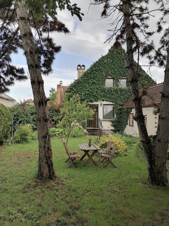Gartenapartment Storchenblick - B&B Weiden am See