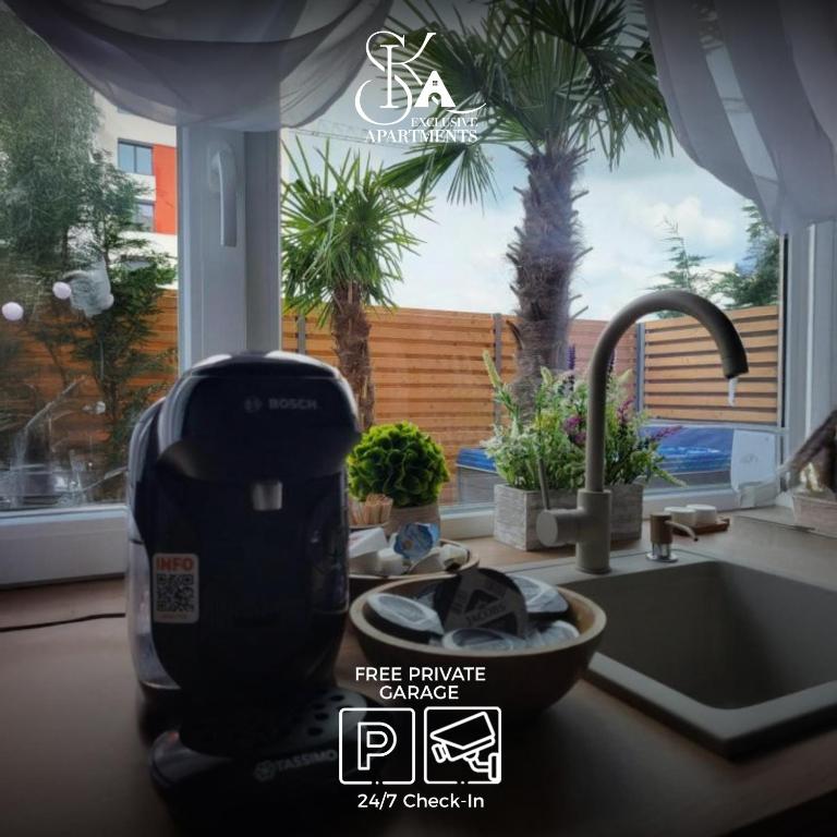 Sika Garden Apartment - Bed and Breakfast Arad