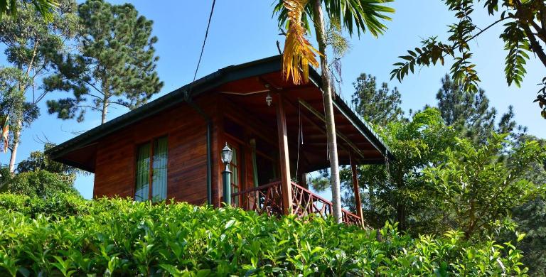 Ella Mount Relax Cottage - Chambres d'hôtes Ella Town